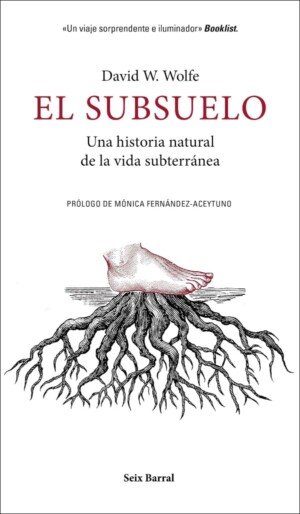 El subsuelo